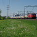 BÖ0033716