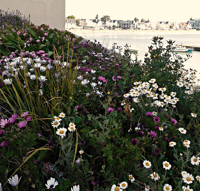 balcon sur la mer