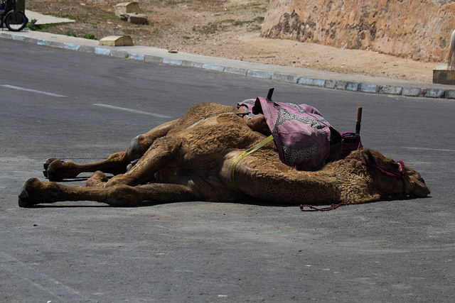 Agadir