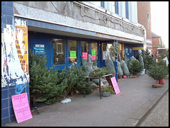 Christmas tree sale