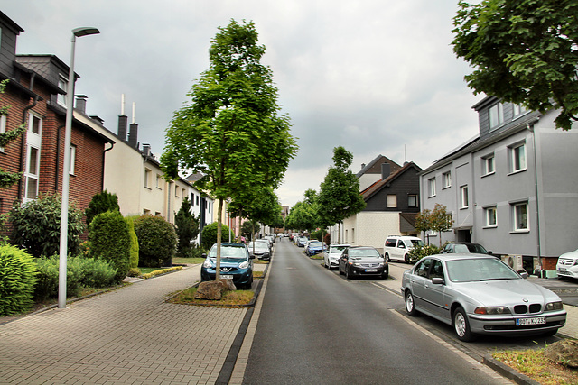 Am Quellenbusch (Bottrop-Vonderort) / 21.05.2022