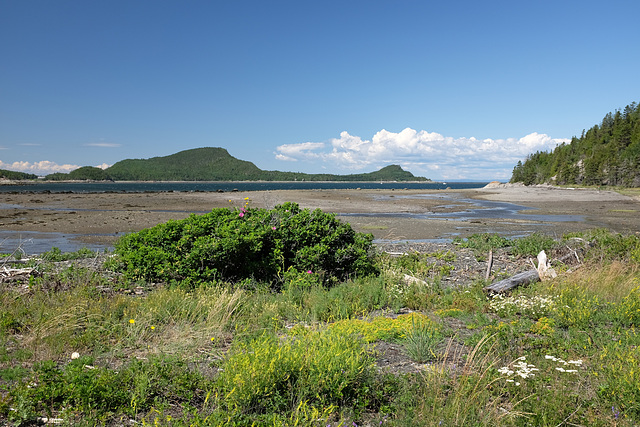 Parc du Bic