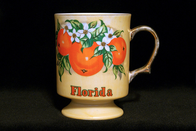 Florida Coffee Cup