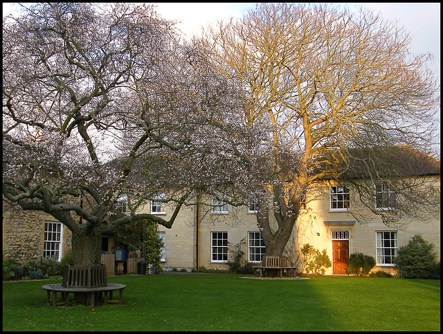 McAlpine Quad