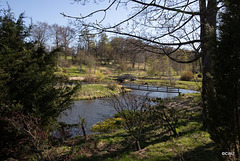 Burgie House Arboretum 24 April 2021