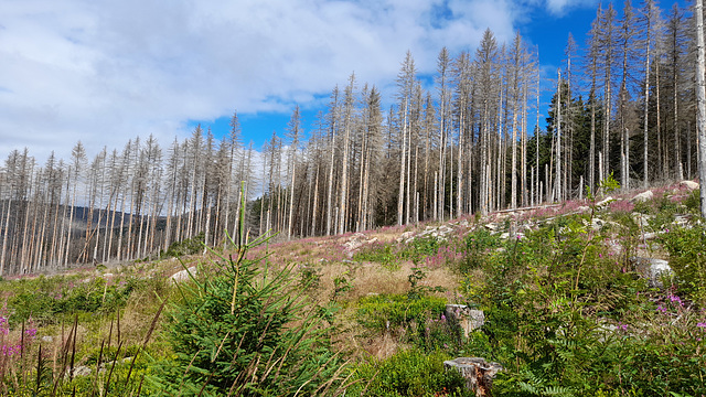 Brocken