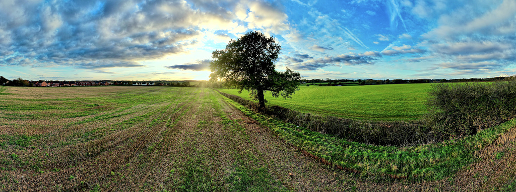 Gnosall sunset