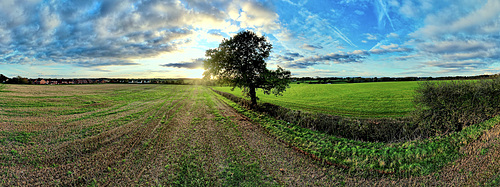 Gnosall sunset
