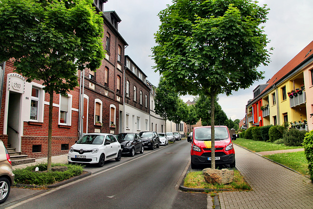 Am Quellenbusch (Bottrop-Vonderort) / 21.05.2022