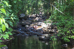 Litchfield NP