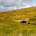 Bridge across the moors.