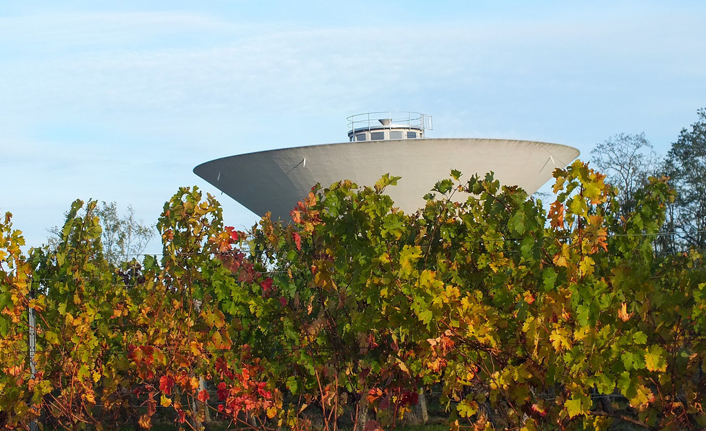 Soucoupe volante dans les vignes