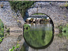 pont en reflets