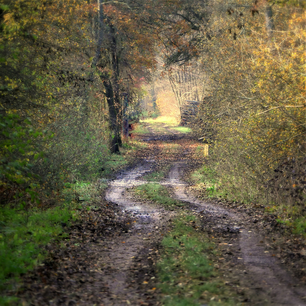 "Ce petit chemin n'a ni queue ni tête..."