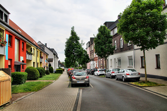 Am Quellenbusch (Bottrop-Vonderort) / 21.05.2022