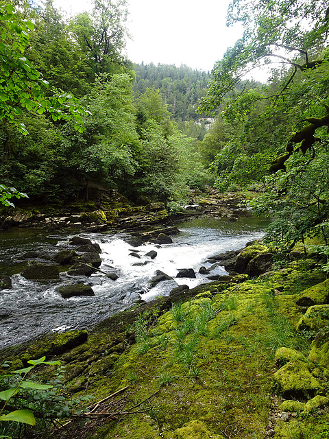 Das Tal des Doubs ist eine wilde Schönheit