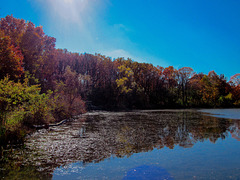 Corner of the Lake