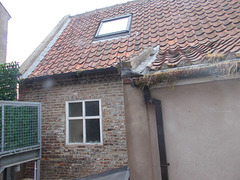 WTB[25] - view out the back