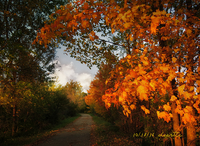 Autumn splendor