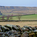 Dry stone walls