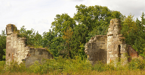 Wimpole Estate Folly