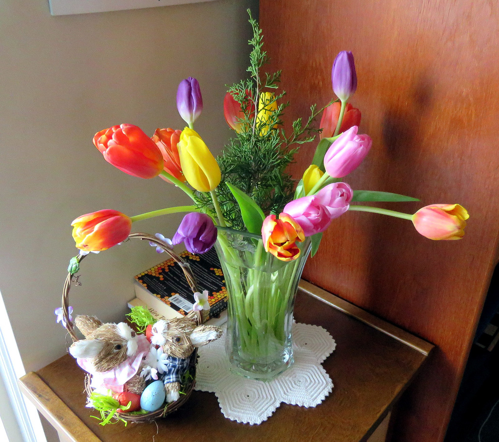 A touch of Spring
