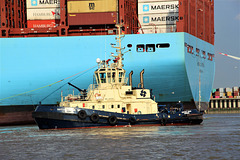 SVITZER VIDAR