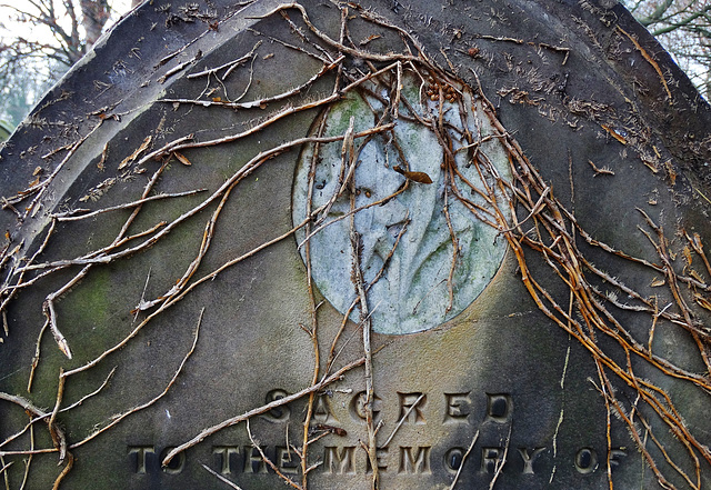 Ivy Clothed Gravestone 4