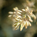 DSCF0099