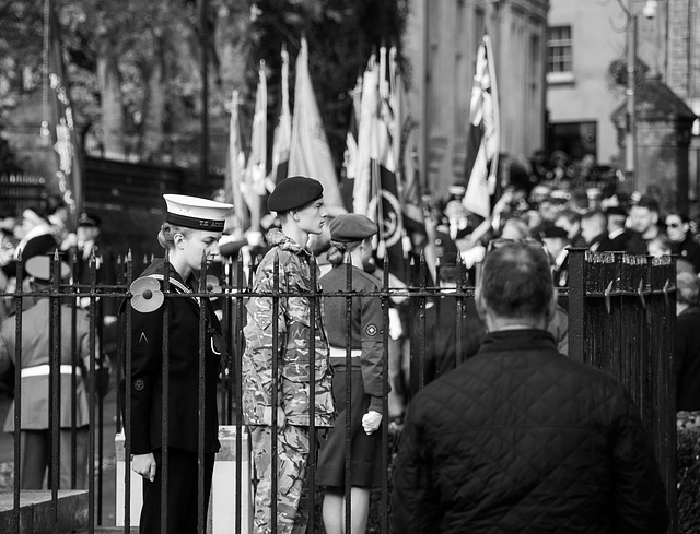 Remembrance Sunday (6)