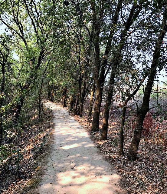 Trail ~ Cosumnes River Preserve