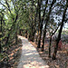 Trail ~ Cosumnes River Preserve