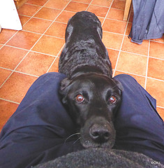 I just know you have treats for me in your pocket!