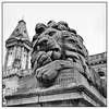 Saltaire lion