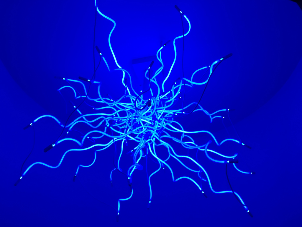 Chihuly Light