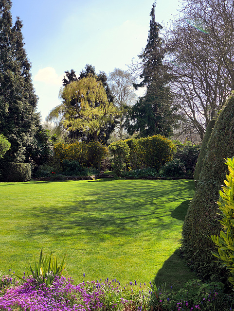 Fulbourn garden 2015-04-18