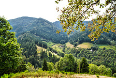 Schwarzwald