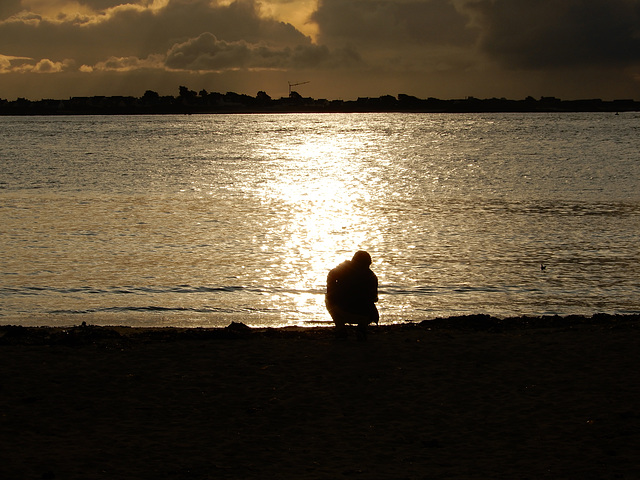 l'or du matin