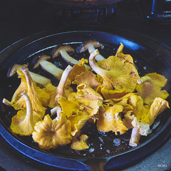 Chanterelles for breakfast with Boletus Edulis
