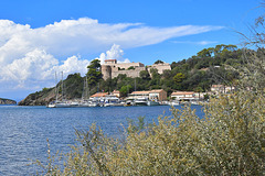 Île de Port-Cros