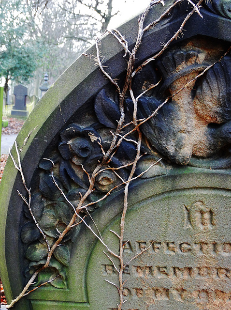 Ivy Clothed Gravestone 3