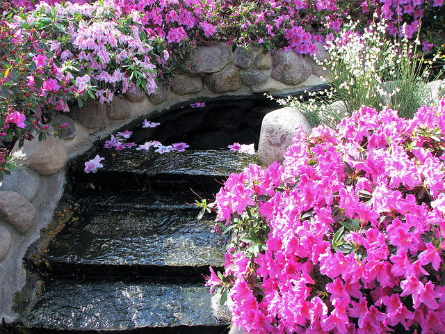 Stairway to Floral Heaven