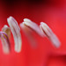 DSCF0053