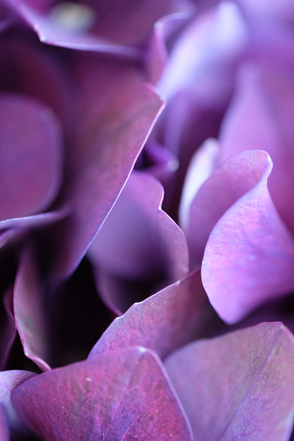 DSCF0633