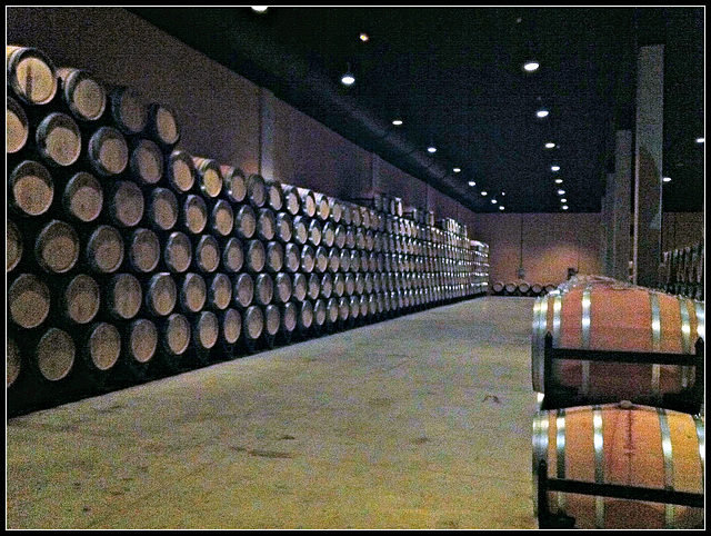 Bodega Pagos de Araiz en Olite, 10