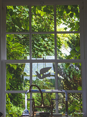View from a country kitchen
