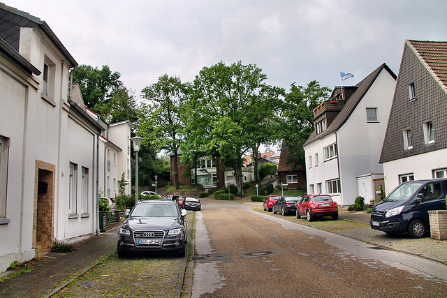 Am Wienberg (Bottrop-Vonderort) / 21.05.2022