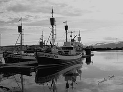 Husavik, Whale watching boats