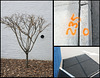 Miksang Collage