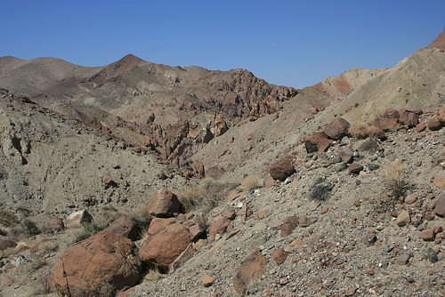 IMG 9024